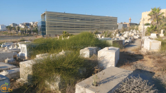 غداً: معسكر عمل لصيانة وتنظيف مقبرة الكازاخانة في مدينة يافا 